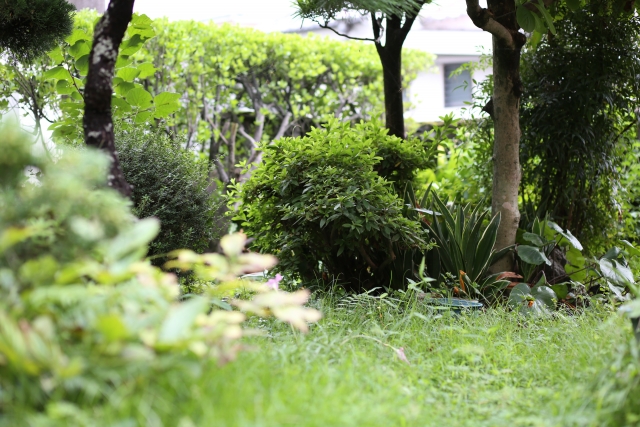 お庭の手入れ・草刈り・剪定